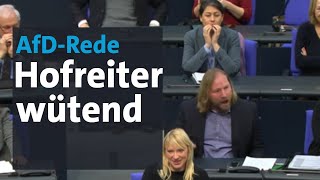 Anton Hofreiter flippt bei AfDRede von Curio im Bundestag aus  BR24 [upl. by Arlin]