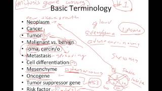 Neoplasia 1 Overview and Nomenclature [upl. by Layap]