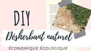 DIY  Fabrique ton désherbant naturel [upl. by Aicat618]