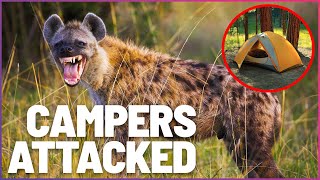 Hyena Horror Nightmare Camping Attack On The Zambezi River  Wonder [upl. by Yrrap]