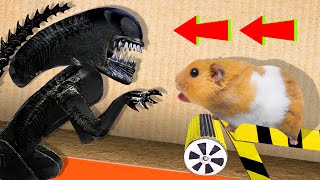 🐹 Alien Hamster Maze with Traps 😱OBSTACLE COURSE😱  BONUS  Awesome Hamster Escape [upl. by Hesoj817]