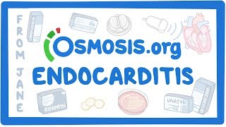 Acute Coronary Syndrome DETAILED Overview MI STEMI NSTEMI [upl. by Cherice]