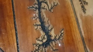 how to make wood art with electricity by burning [upl. by Flita572]