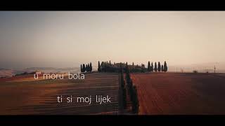 MARKO ŠKUGOR  VOLIM TE ZAUVIJEK Lyric Video [upl. by Hukill]