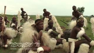 Celebrating Zulu Heritage Through Tribal Dance [upl. by Arec]