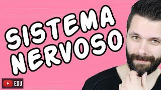 SISTEMA NERVOSO  FISIOLOGIA  Aula  Biologia com Samuel Cunha [upl. by Sad845]