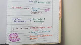 Acute Osteomyelitis And Chronic Osteomyelitis  Pathology [upl. by Fraya]