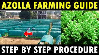 Azolla Farming  Azolla Cultivation  How to grow Azolla in HDPE Pond [upl. by Adanar237]