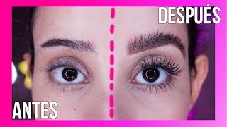 CEJAS PERFECTAS Y NATURALES ✅💁‍♀️ Tendencia 2019 [upl. by Pleione]