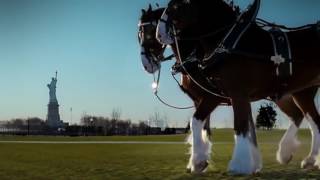 Budweiser Clydesdales 911 Tribute Ad Super Bowl 2011 [upl. by Terra879]