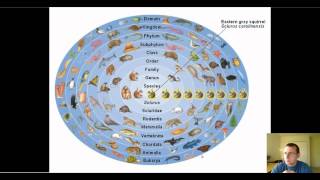 Hierarchical Taxonomy [upl. by Nomyad]