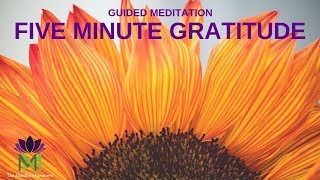 5 Minute Guided Meditation for Gratitude  Mindful Movement [upl. by Meter]