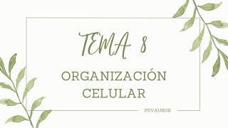 BIOLOGÍA SELECTIVIDAD ORGANIZACIÓN CELULAR [upl. by Ayiram]