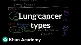 Leukemia classifications  Hematologic System Diseases  NCLEXRN  Khan Academy [upl. by Capwell]