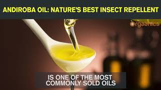 Andiroba Oil Natures Best Insect Repellent [upl. by Tallu]