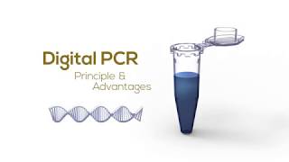 Digital PCR Principle amp Advantages [upl. by Aynosal]