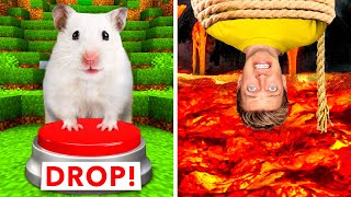 Hamster Maze vs Human Traps 🐹 World’s Most Extreme Elimination Game Last To Survive Minecraft Wins [upl. by Negam]