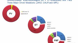 Myeloproliferative Neoplasm Hot Topic [upl. by Oranneg11]