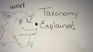 Taxonomy Explained [upl. by Alika]