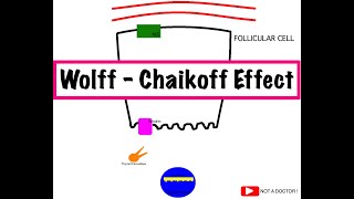 WOLFF CHAIKOFF EFFECT and JOD BASEDOW PHENOMENON  EXCESS IODINE INTAKE  in 5 minutes  USMLE 1 [upl. by Rubbico602]