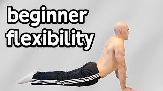 Beginner Stretches For Flexibility Full Routine [upl. by Negeam549]