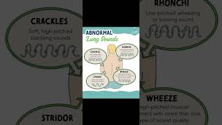 Abnormal Lung Sounds [upl. by Bahe]