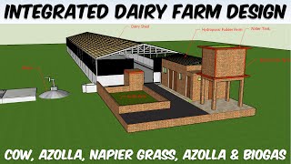 Integrated Dairy Farming Model Design  Cow Azolla Napier Hydroponic Fodder Farm amp Biogas Design [upl. by Ahasuerus822]