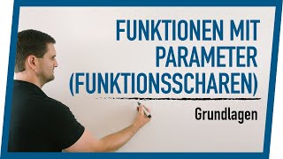 Funktionen mit Parameter Funktionsscharen Grundlagen  Mathe by Daniel Jung [upl. by Holihs962]