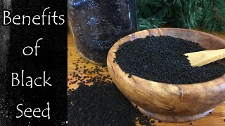 Benefits of Black Seed Nigella Sativa [upl. by Anahsed]