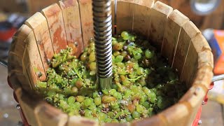 Making a White Wine from Grapes [upl. by Iruyas655]