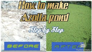 How to make Azolla Pond ll Step by step [upl. by Ennair]