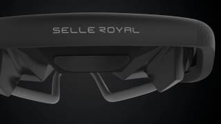 Selle Royal Lookin [upl. by Oretos]