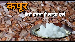 कपूर कैसे बनता है लाइव देखें  Capoor making machine  Camphor manufacturing process in hindi [upl. by Aiouqes547]