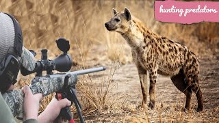 Hunting African hyenas with guns [upl. by Aicxela]