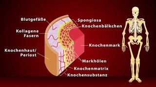 K1 Allgemeine neurologische Untersuchung [upl. by Mcconnell259]