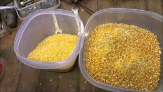 Grinding Corn Meal For Corn Bread [upl. by Papert]