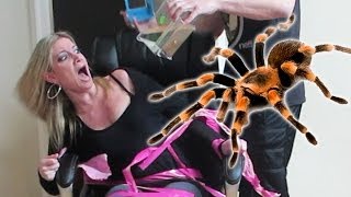 TERRIFYING TARANTULA PRANK [upl. by Stempien]