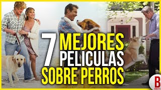 TOP 7 MEJORES PELÍCULAS DE PERROS  Películas de Perros que te harán Llorar 🐶 [upl. by Osman]