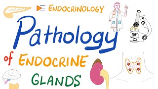 Pathology Basics of Endocrinology [upl. by Yeclek]