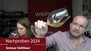 Nachproben 2024  Grüner Veltliner [upl. by Buchbinder39]