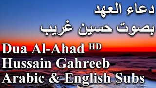 Dua AlAhad by Hussain Ghareeb I دعاﺀ العهد بصوت حسين غريب [upl. by Drazze958]