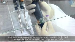 PCR Master Mix preparation and RTPCR [upl. by Kilbride]